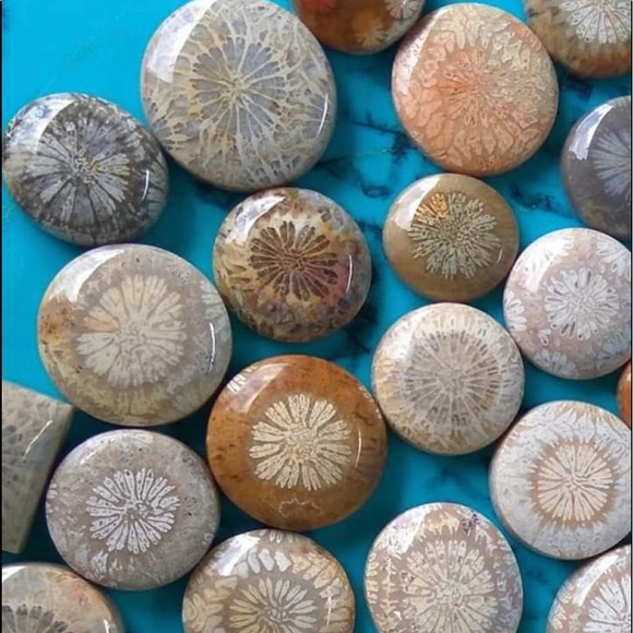 Indonesian Sea Fossil Coral + Tourmaline vintage handcrafted ring - Picture 7 of 9